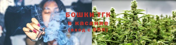индика Абинск